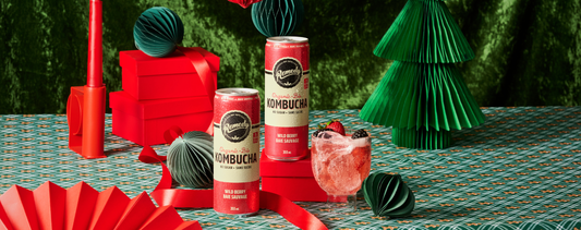 Remedy Gift Guide 2025