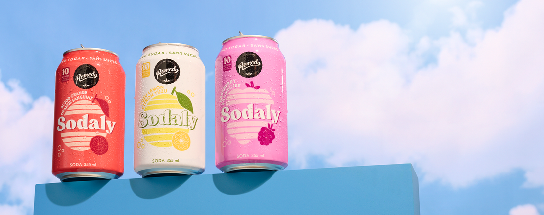 Kombucha VS Sodaly: What's The Difference?