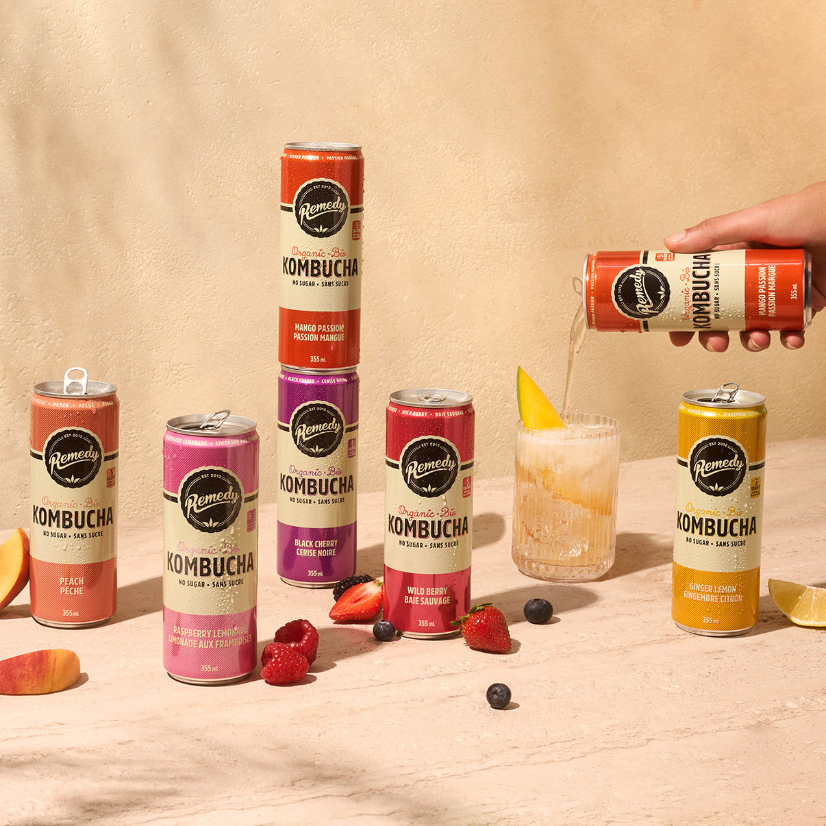 Remedy Kombucha Variety Pack